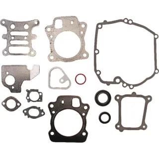 Motora blīvju komplekts 592173 Briggs & Stratton