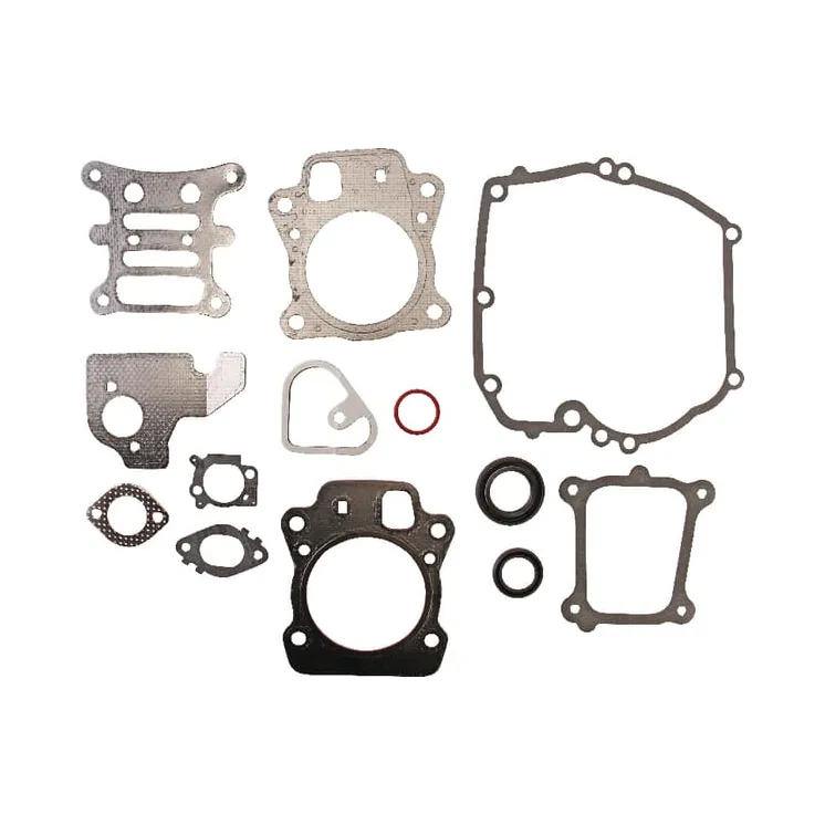 Motora blīvju komplekts 592173 Briggs & Stratton
