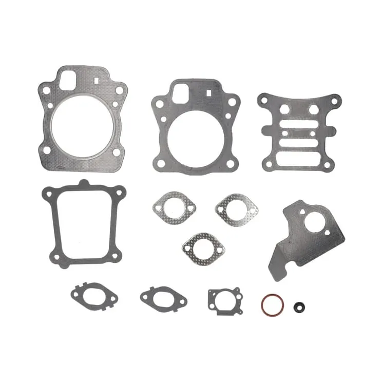 Blīvju komplekts 592174 Briggs & Stratton