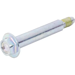 Screw  592170 Briggs & Stratton