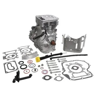 Īss bloks modelis 31 vertikāls 592059A Briggs & Stratton 592059