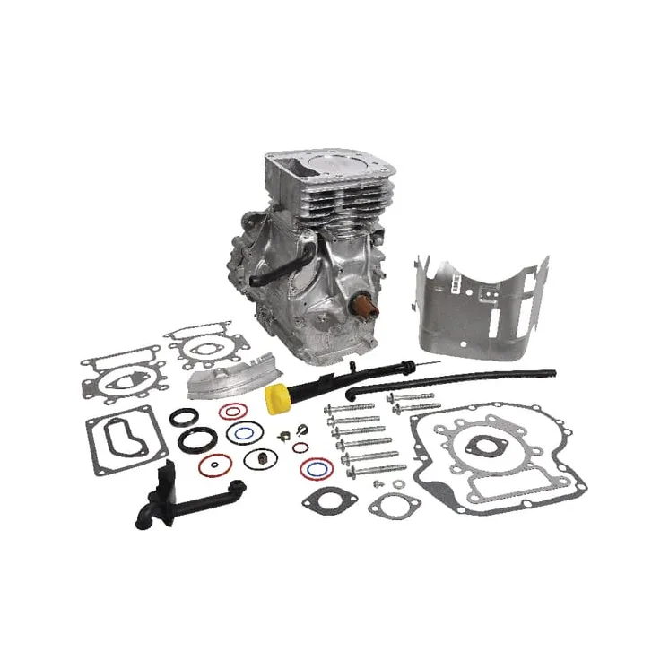 Īss bloks modelis 31 vertikāls 592059A Briggs & Stratton 592059