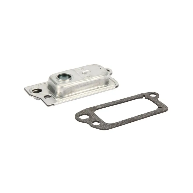 Breather complete  590395 Briggs & Stratton 495786 695250