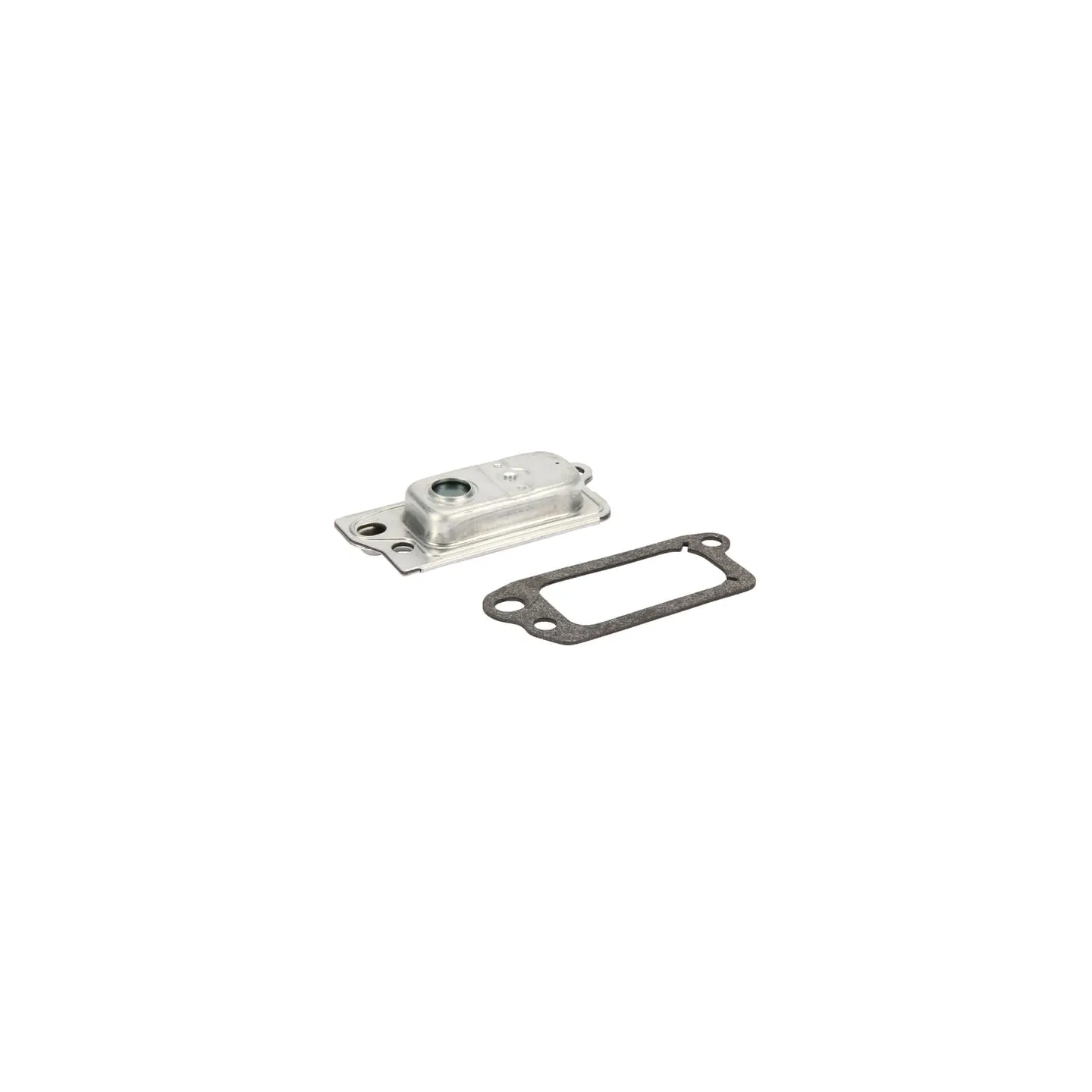 Breather complete  590395 Briggs & Stratton 495786 695250