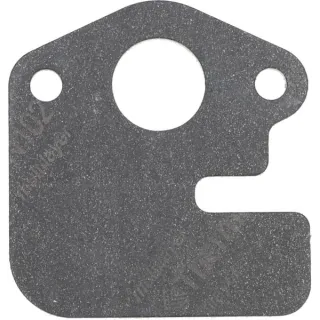 Blīve-ieplūde 590398 Briggs & Stratton
