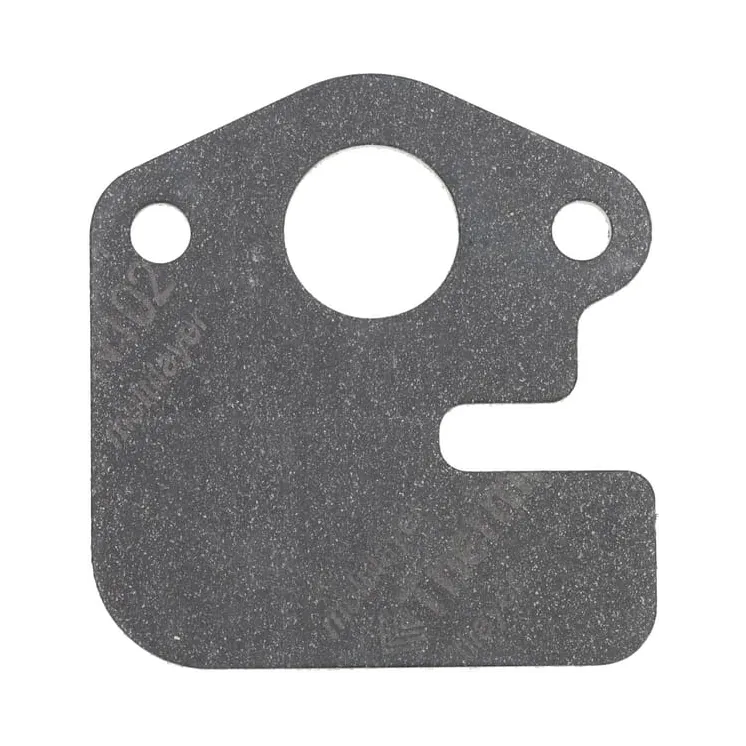 Blīve-ieplūde 590398 Briggs & Stratton