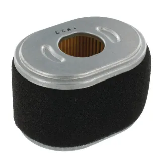 Air filter Oval  590601 Briggs & Stratton