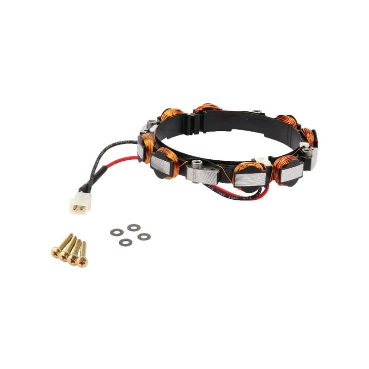 Ģeneratora stators 592831 Briggs & Stratton 696459