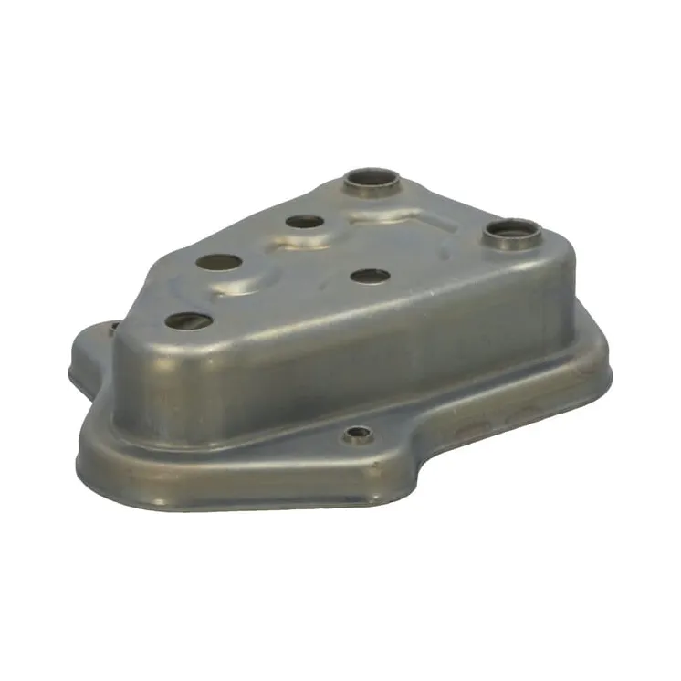 Plate  590529 Briggs & Stratton