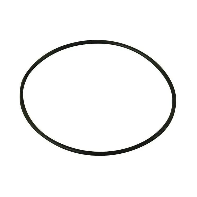 O-ring 17.5x2.62mm 70 shore EPDM black   620561 Annovi Reverberi