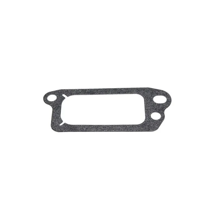 Valve cover gasket  699833 Briggs & Stratton 272481S