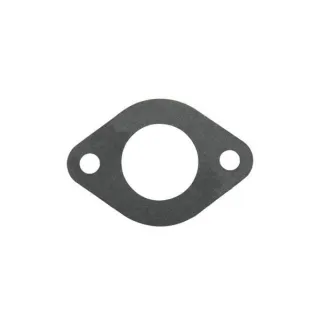 Blīve-Ieplūde 699803 Briggs & Stratton