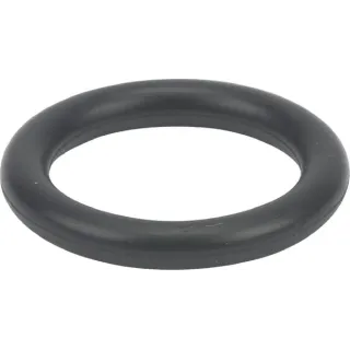 O-ring  699725 Briggs & Stratton