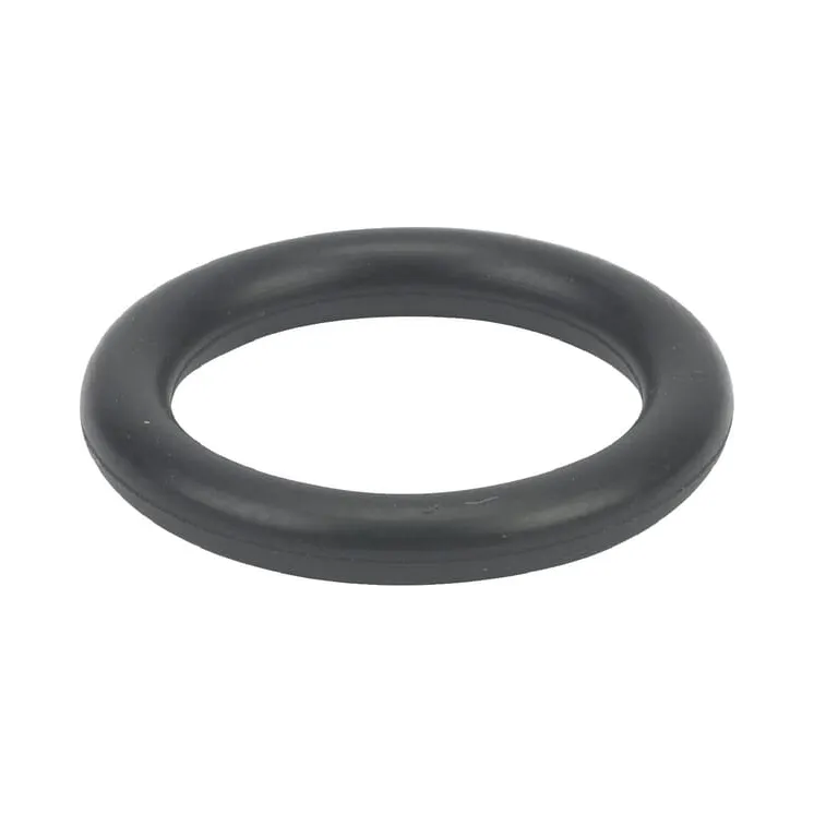 O-ring  699725 Briggs & Stratton