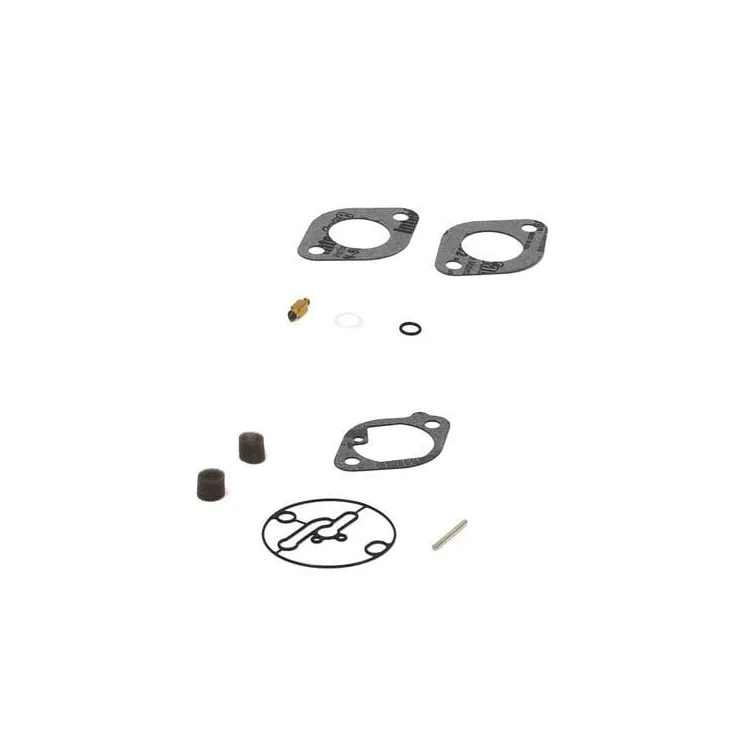 Carburettor overhaul kit  699814 Briggs & Stratton