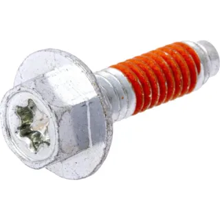 Screw  699816 Briggs & Stratton