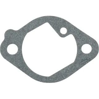Gasket Intake  699800 Briggs & Stratton