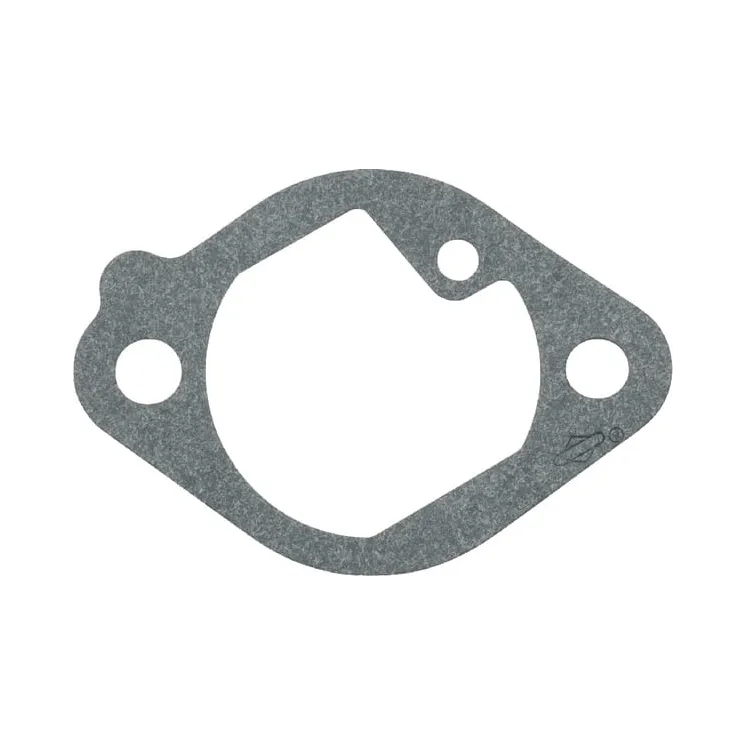 Gasket Intake  699800 Briggs & Stratton