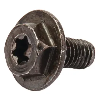Screw  699854 Briggs & Stratton