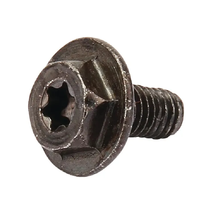 Skrūve 699854 Briggs & Stratton