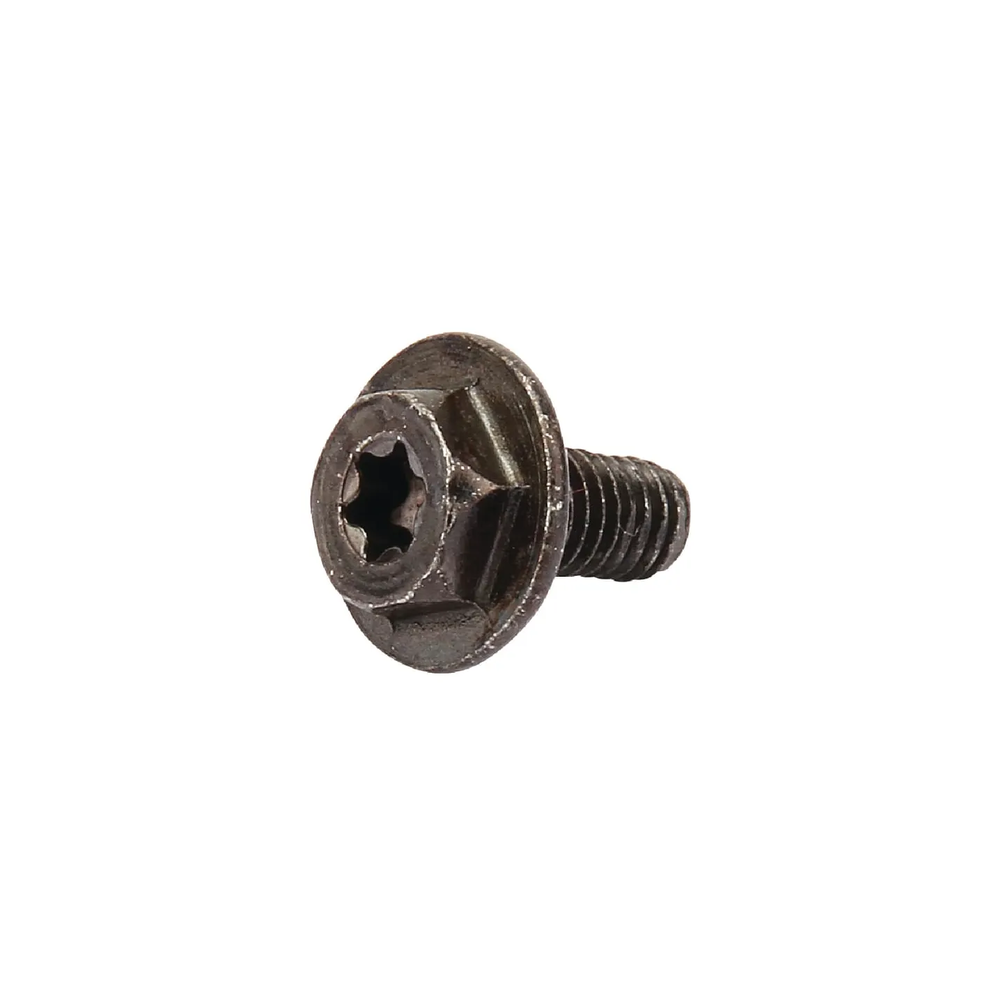Skrūve 699854 Briggs & Stratton