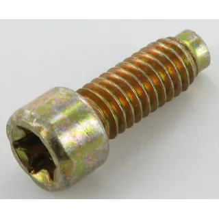 Bolt  698941 Briggs & Stratton
