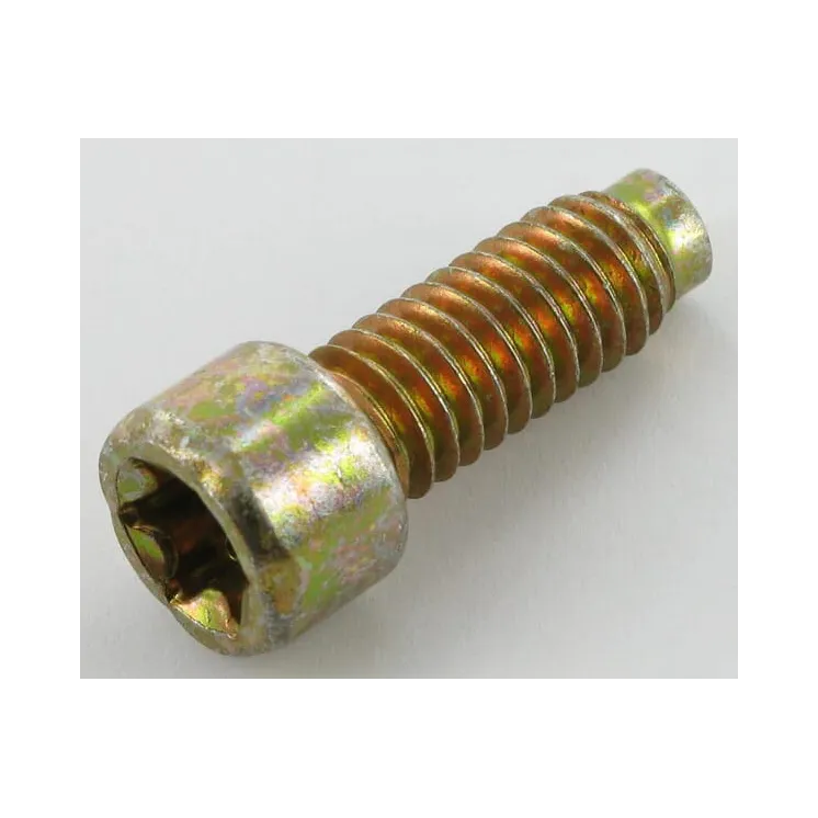 Skrūve 698941 Briggs & Stratton