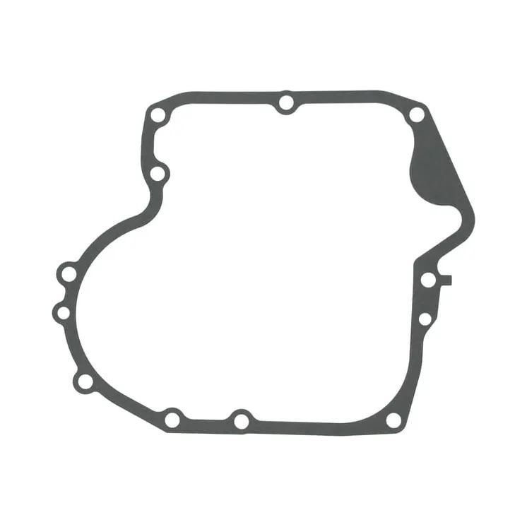 Crankcase gasket  697110 Briggs & Stratton