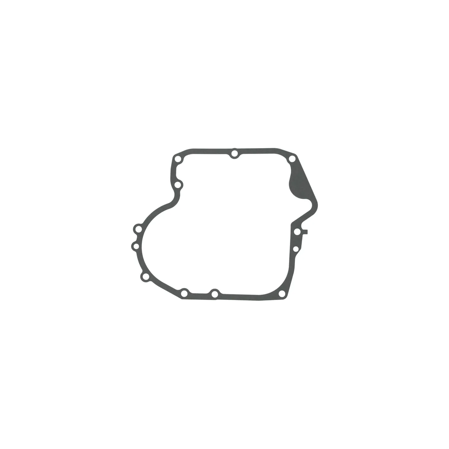 Crankcase gasket  697110 Briggs & Stratton