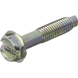 Screw  699208 Briggs & Stratton