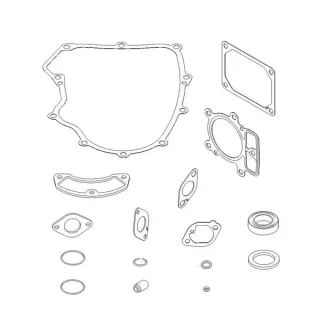 Blīvju komplekts modelis 40 un 44 V 699823 Briggs & Stratton