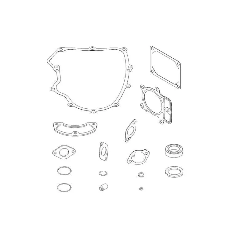 Blīvju komplekts modelis 40 un 44 V 699823 Briggs & Stratton