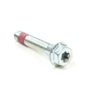 Screw  699484 Briggs & Stratton