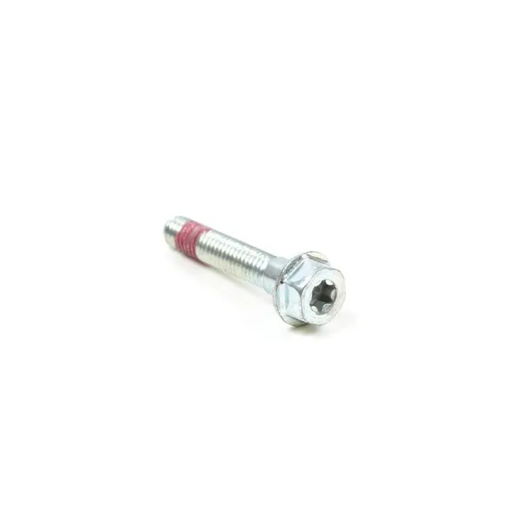 Screw  699484 Briggs & Stratton
