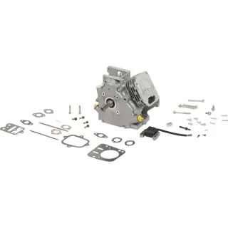 Short block, model 12, horizontal  699579A Briggs & Stratton 693779 696265 699579 699584