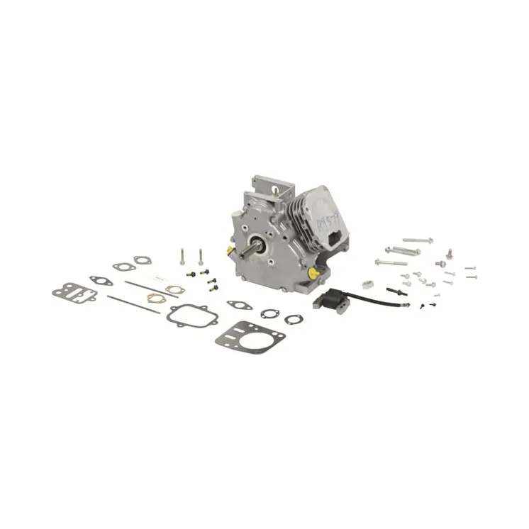 Short block, model 12, horizontal  699579A Briggs & Stratton 693779 696265 699579 699584