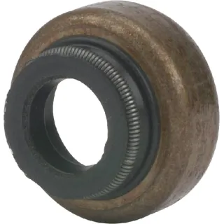 Vārsta vārpstas blīvējums 697338 Briggs & Stratton