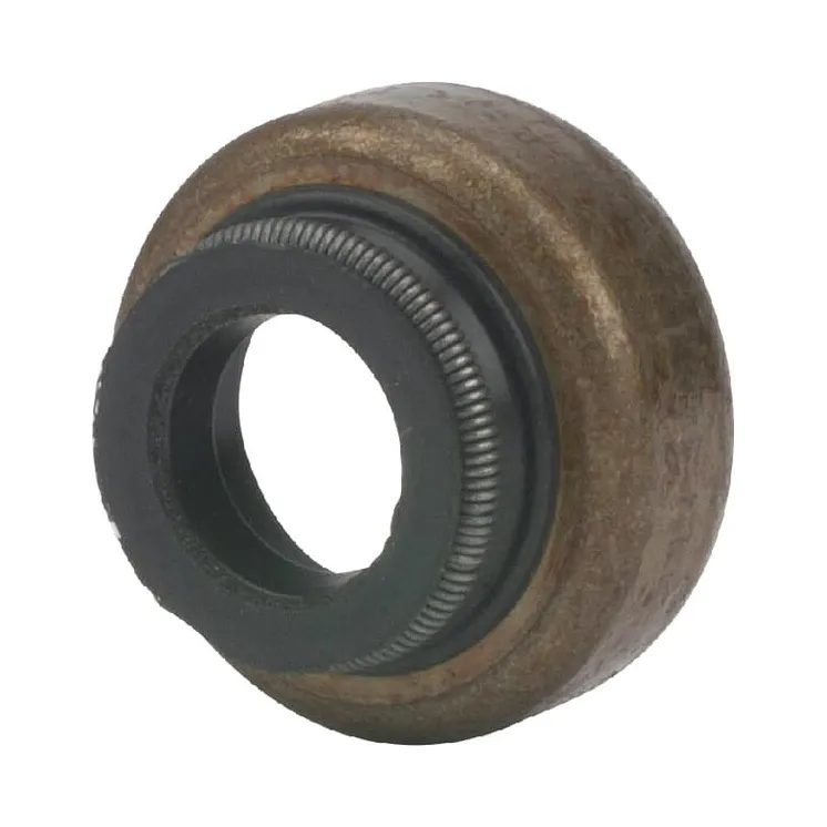 Vārsta vārpstas blīvējums 697338 Briggs & Stratton