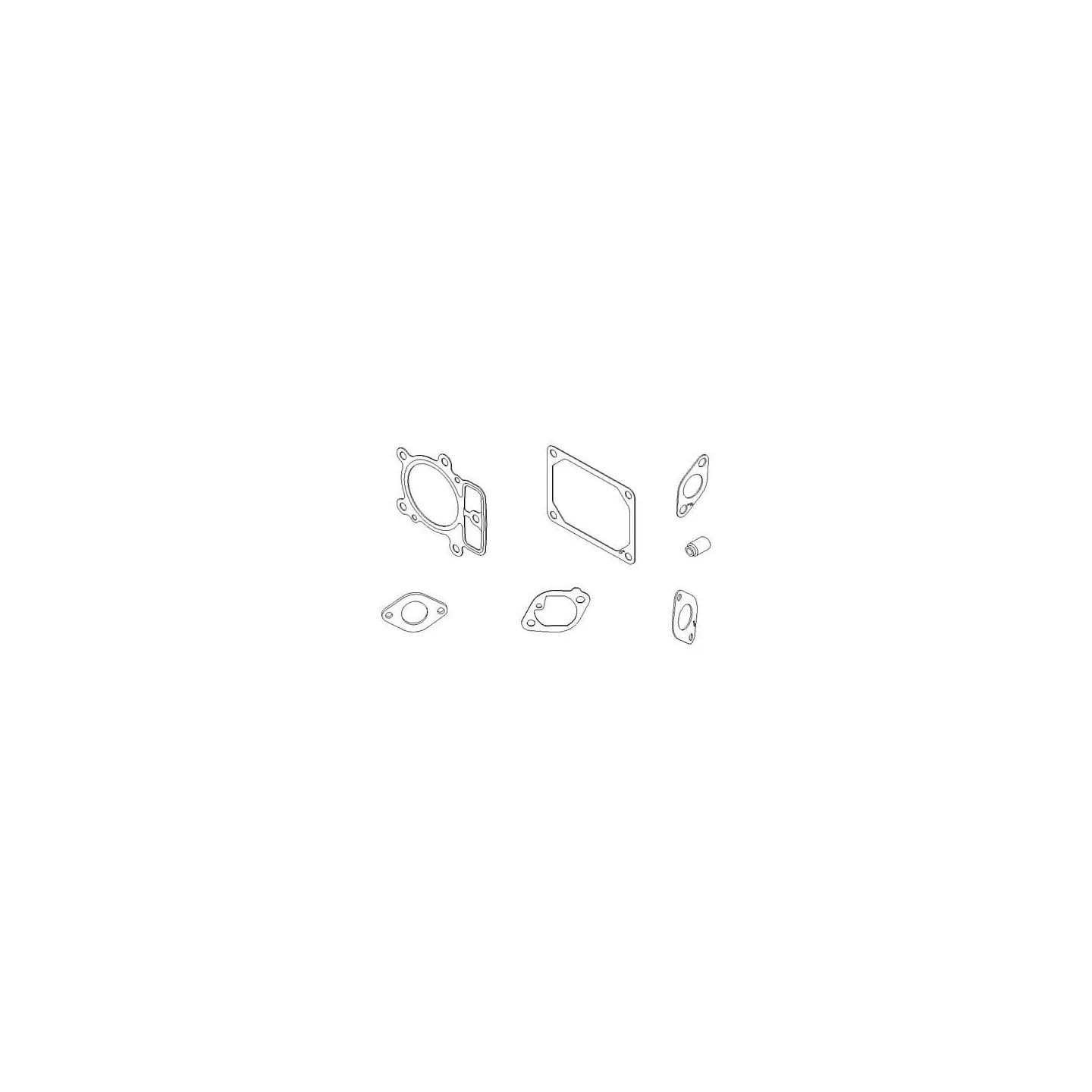 Valve gasket set  699822 Briggs & Stratton