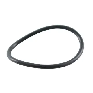 O veida gredzens 697123 Briggs & Stratton