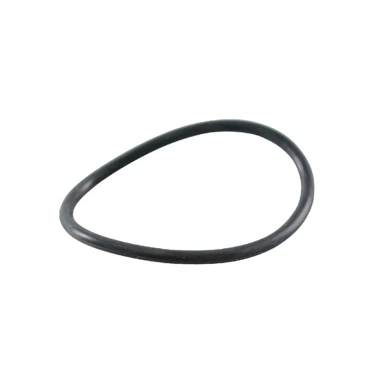O-ring  697123 Briggs & Stratton