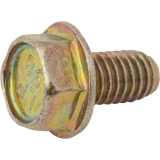 Screw  699491 Briggs & Stratton