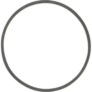 Gasket float bowl  698538 Briggs & Stratton