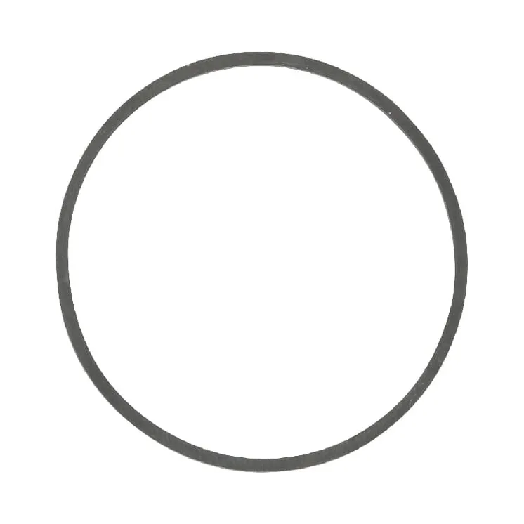 Gasket float bowl  698538 Briggs & Stratton