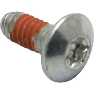 Skrūve 697820 Briggs & Stratton