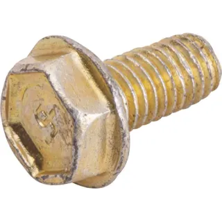 Screw  699234 Briggs & Stratton