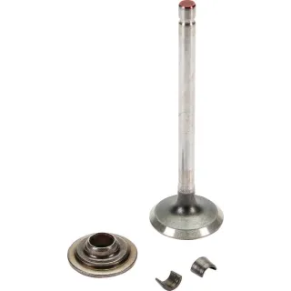 Izplūdes vārsts 697576 Briggs & Stratton 499596