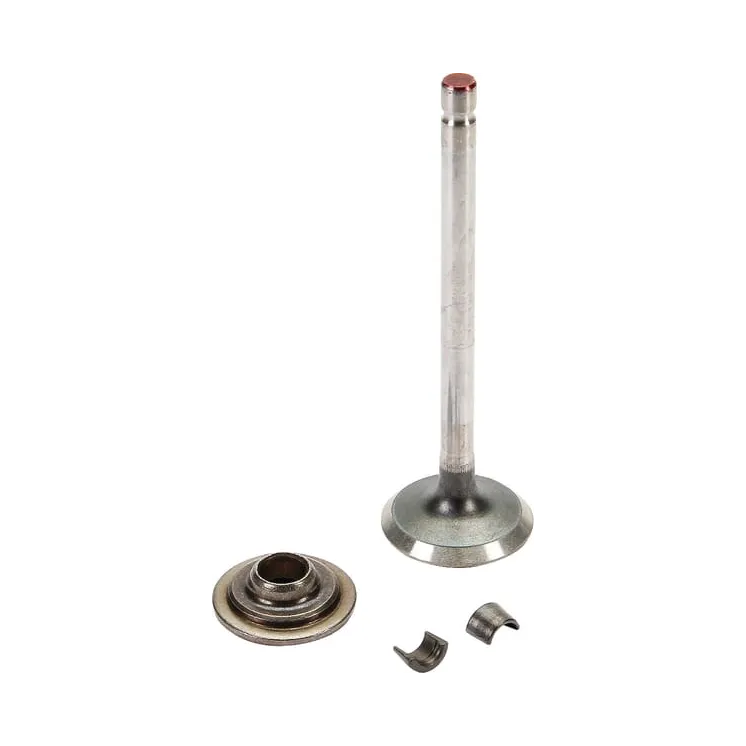 Exhaust valve  697576 Briggs & Stratton 499596