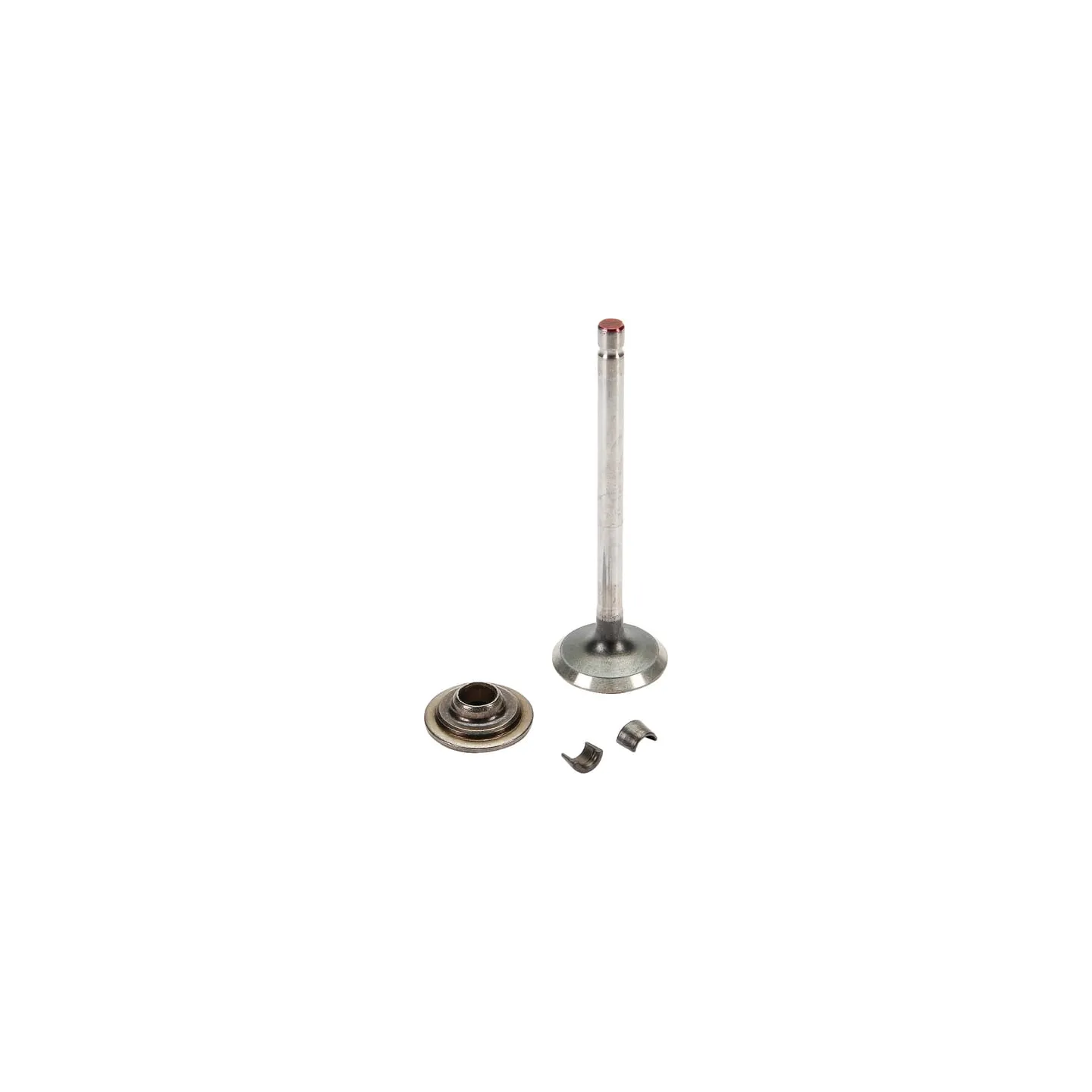Exhaust valve  697576 Briggs & Stratton 499596