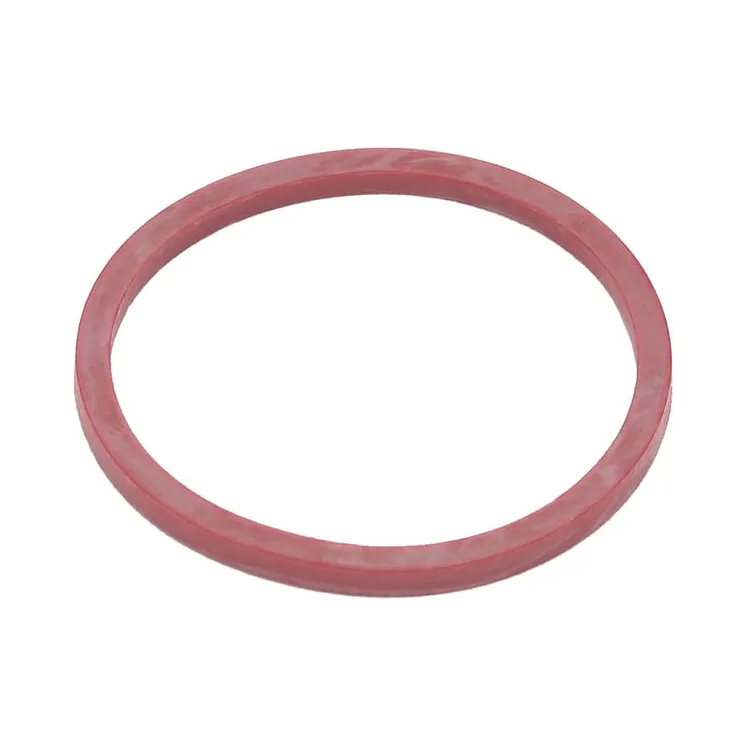 Filter gasket  691917 Briggs & Stratton 697891